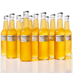 Multiple bottles of NOAM craft beer arranged in a row on a reflective surface with a white background.
