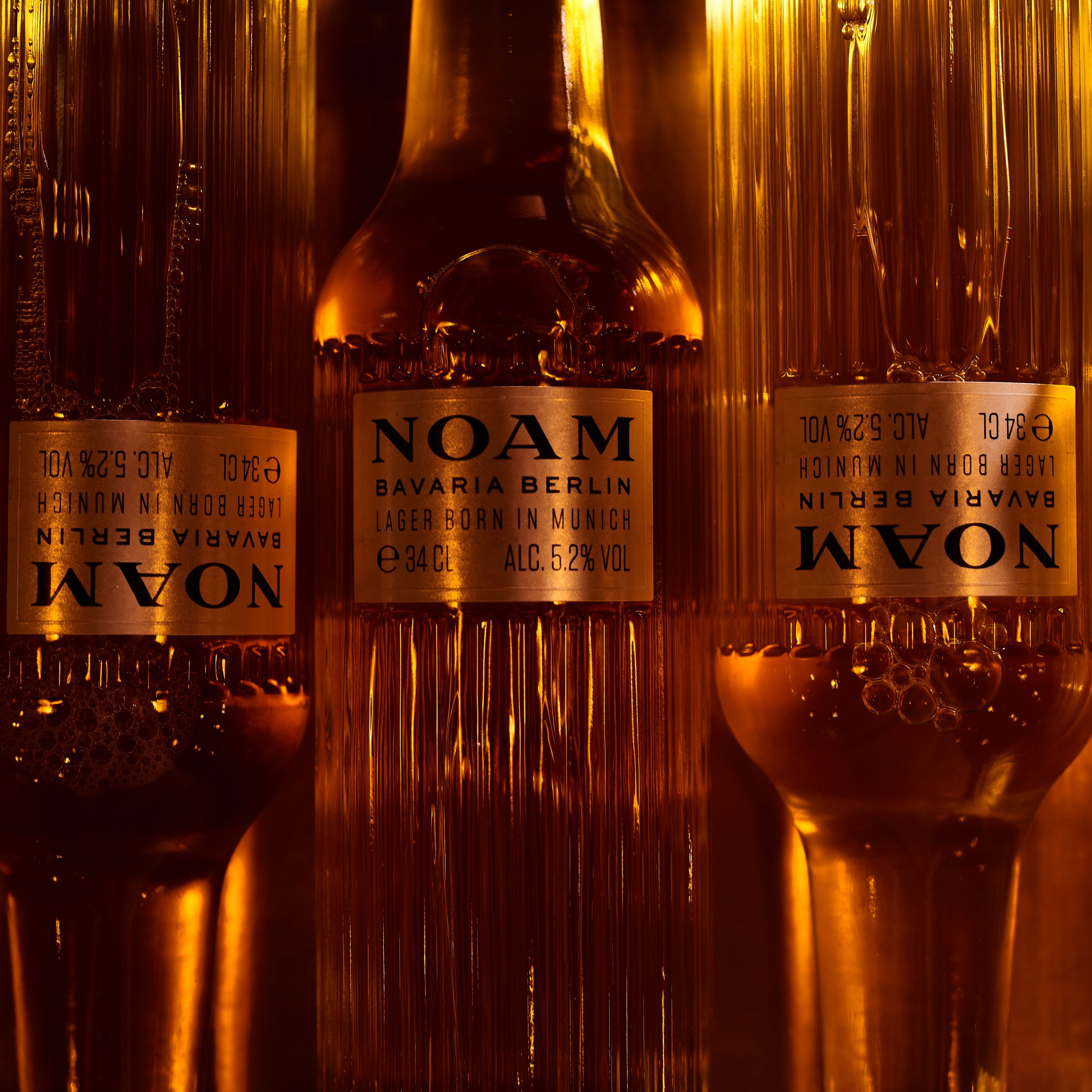Upside Down NOAM Lager Beer with a warm glow on a reflective surface