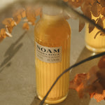 Bottle of NOAM Lager Beer on a stone surface with leaves in the background